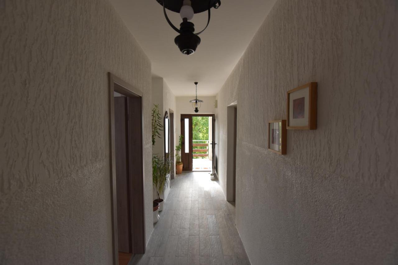 Apartments Frkovic Ledenice Extérieur photo