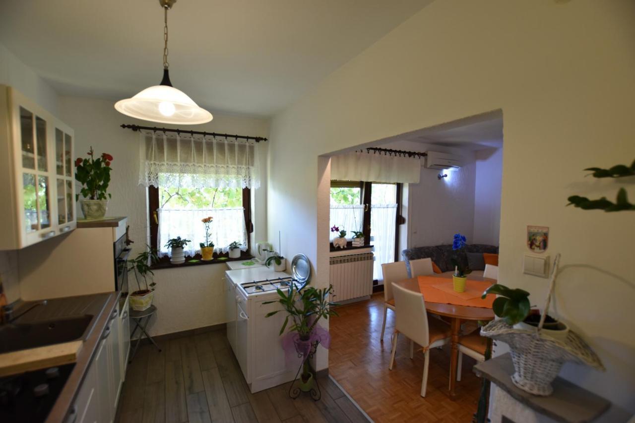 Apartments Frkovic Ledenice Extérieur photo