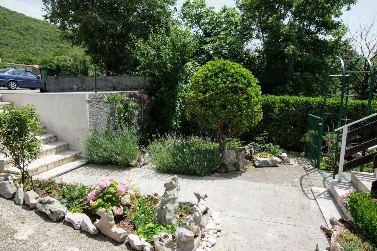 Apartments Frkovic Ledenice Extérieur photo