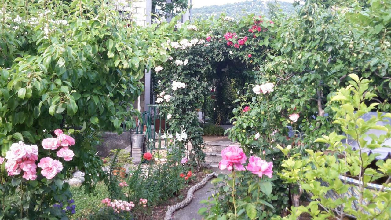 Apartments Frkovic Ledenice Extérieur photo