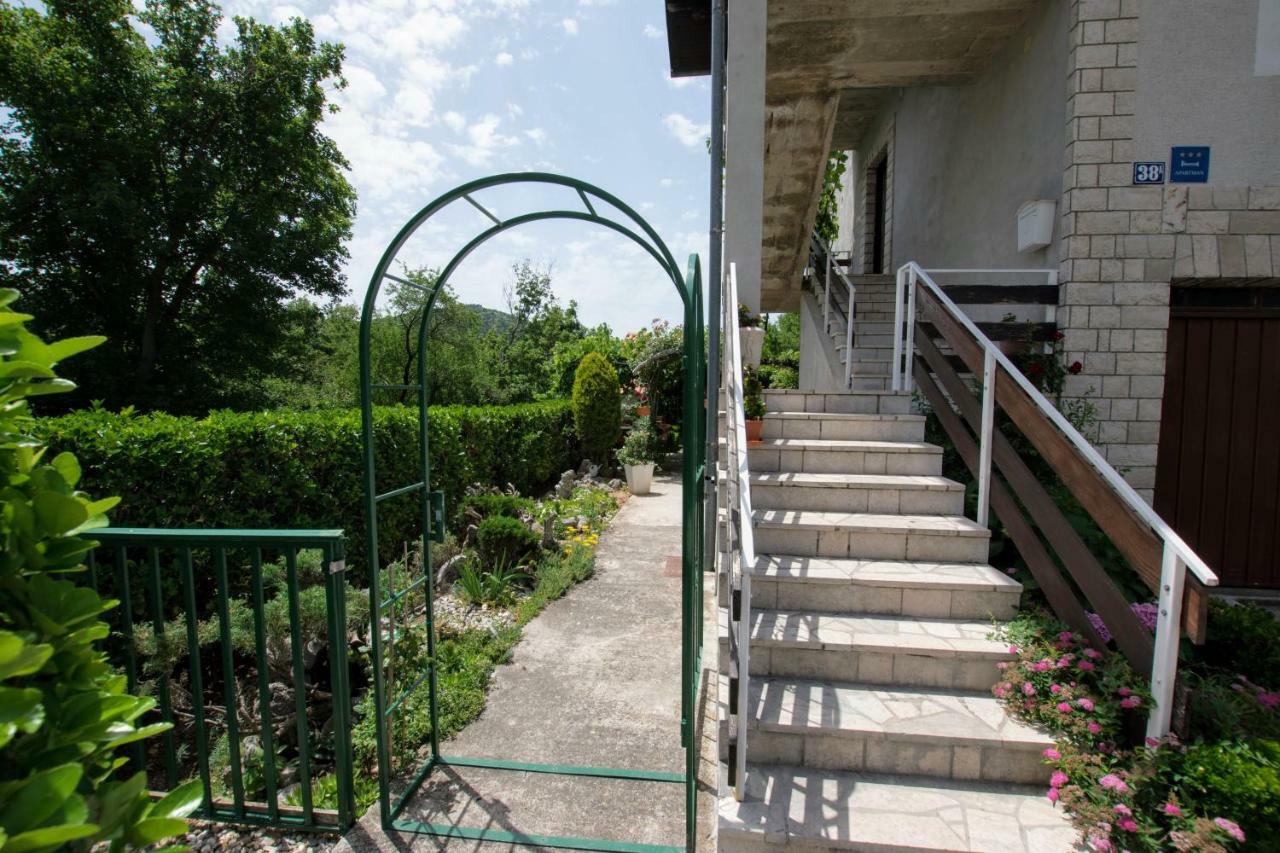 Apartments Frkovic Ledenice Extérieur photo