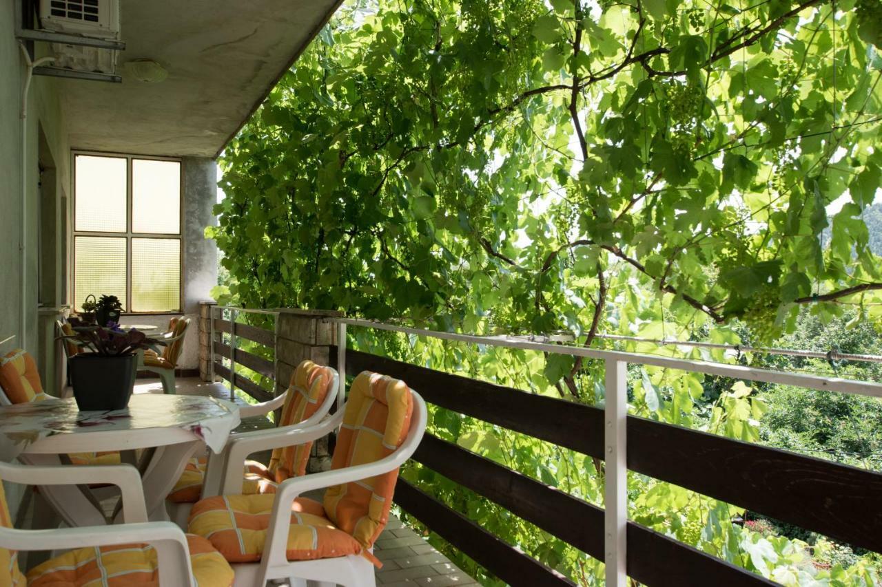 Apartments Frkovic Ledenice Extérieur photo
