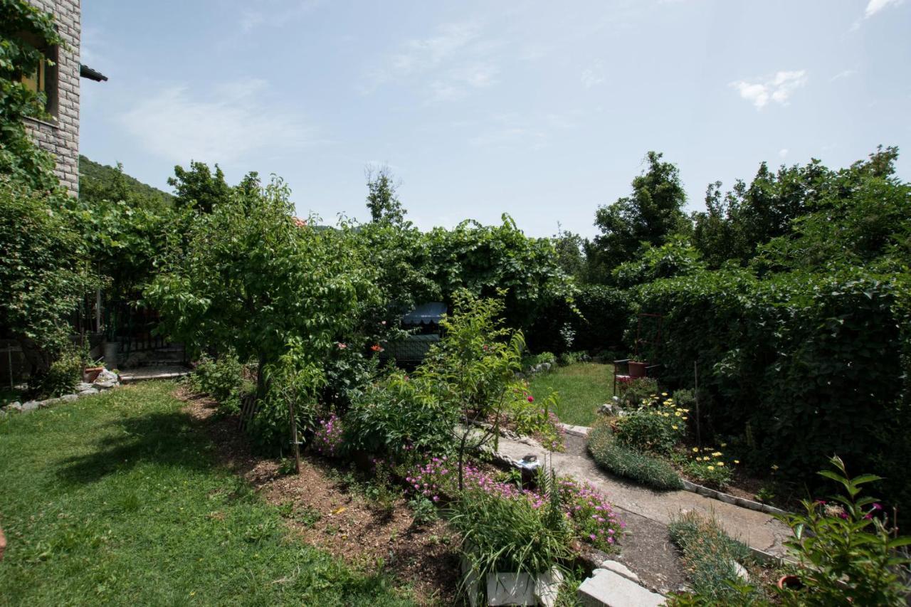 Apartments Frkovic Ledenice Extérieur photo